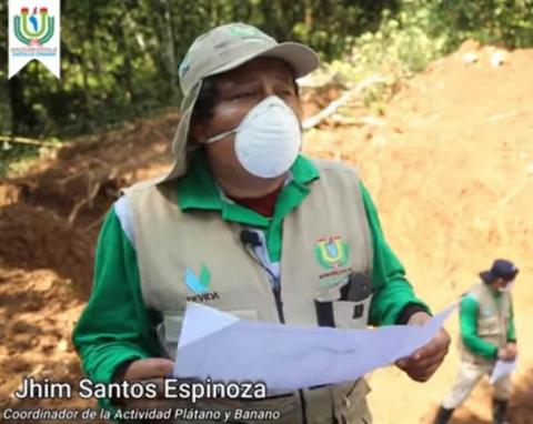 actividad platano actividad platano